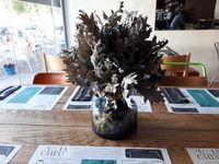 20171025_124225 - copia (2)