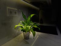 WhatsApp Image 2021-11-20 at 10.00.19